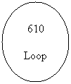 Oval: 610
Loop
