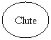 Oval: Clute
